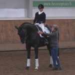 Kyra Kyrklund – Nuorella hevosella kilpaileminen