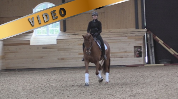 Treenisarja: kouluradan ratsastaminen 3 – Anna von Wendt