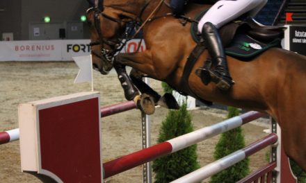 @Tallinna Horse Show