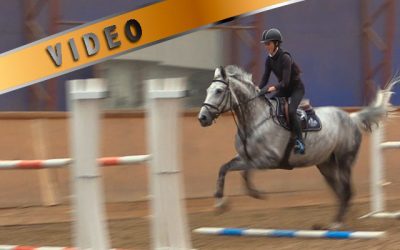 Junioritreeni – Hevosen jumppaaminen ja oman asennon kehittäminen