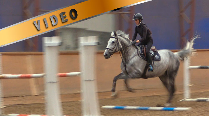 Junioritreeni – Hevosen jumppaaminen ja oman asennon kehittäminen