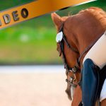 Nuoren hevosen ratsastaminen laukassa – Anna von Wendt